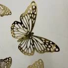 Acrylic-Mirror-Butterfly-1.webp